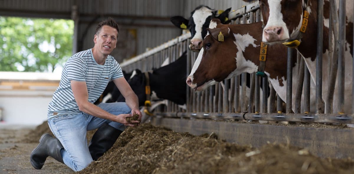 Harm Rijneveld combineert technisch advies met coaching Verhaal afbeelding